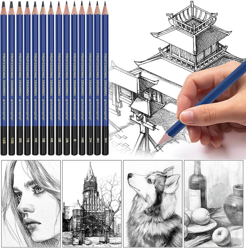 Daerthotk Pro Pencils Drawing Sketching Set 14 pcs Graphite (12B - 6H) Kit Soft Pencils Ideal Gift for Drawing Art, Sketching, Shading, Artist Pencils for Beginners Pro Artis - Image 3
